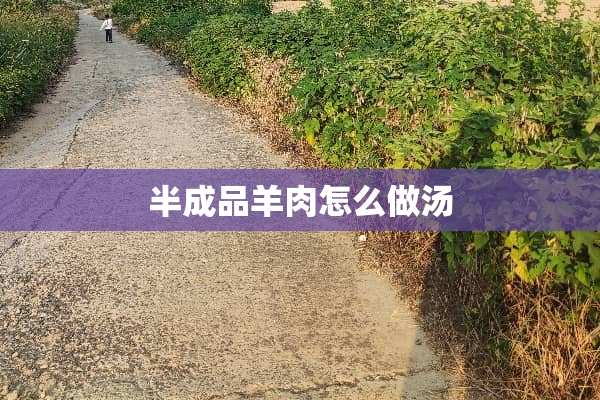 半成品羊肉怎么做汤