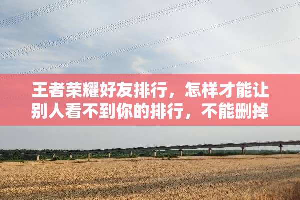 王者荣耀好友排行，怎样才能让别人看不到你的排行，不能删掉对方，求解？