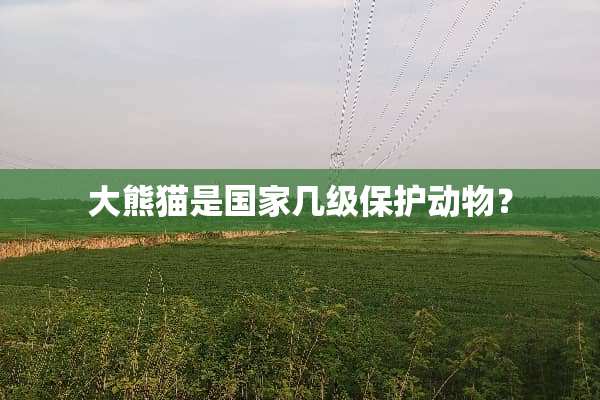 大熊猫是国家几级保护动物？