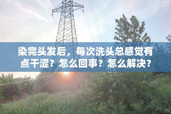 染完头发后，每次洗头总感觉有点干涩？怎么回事？怎么解决？