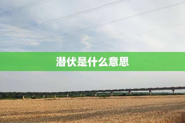 潜伏是什么意思