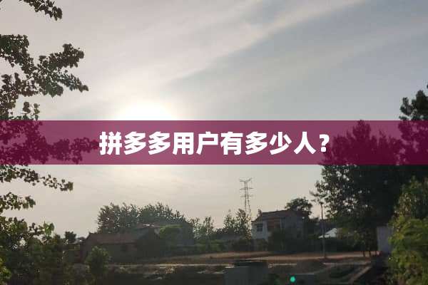 拼多多用户有多少人？
