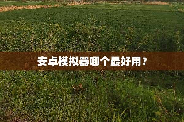 安卓模拟器哪个最好用？