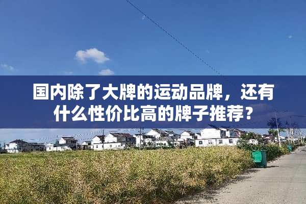 国内除了大牌的运动品牌，还有什么性价比高的牌子推荐？