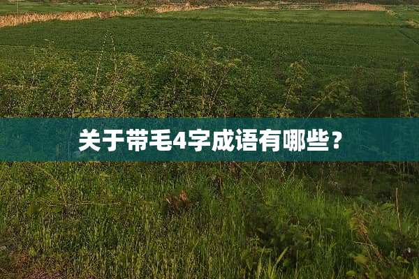 关于带毛4字成语有哪些？