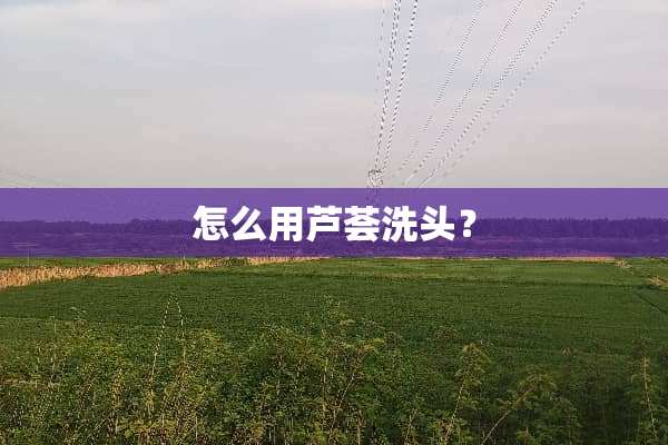 怎么用芦荟洗头？