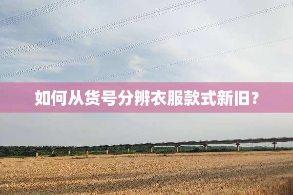 如何从货号分辨衣服款式新旧？