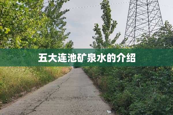 五大连池矿泉水的介绍