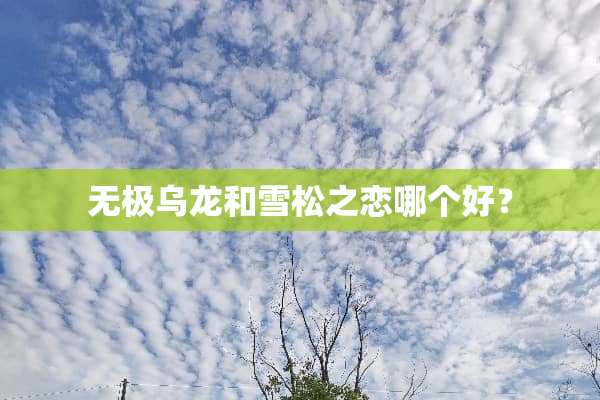无极乌龙和雪松之恋哪个好？