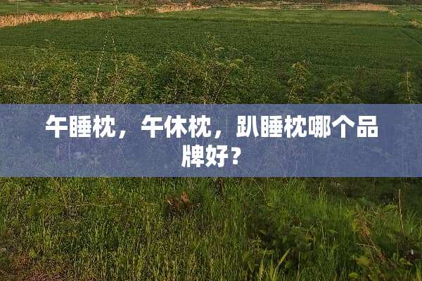 午睡枕，午休枕，趴睡枕哪个品牌好？