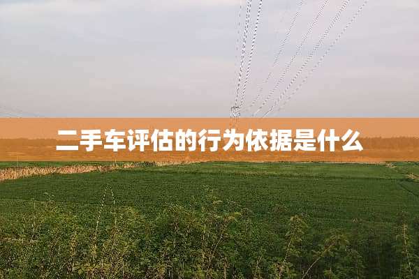 二手车评估的行为依据是什么