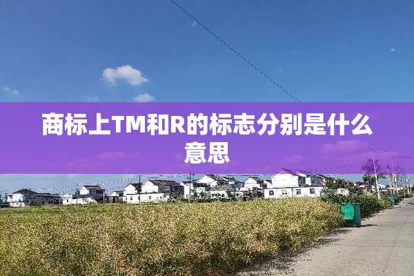 商标上TM和R的标志分别是什么意思