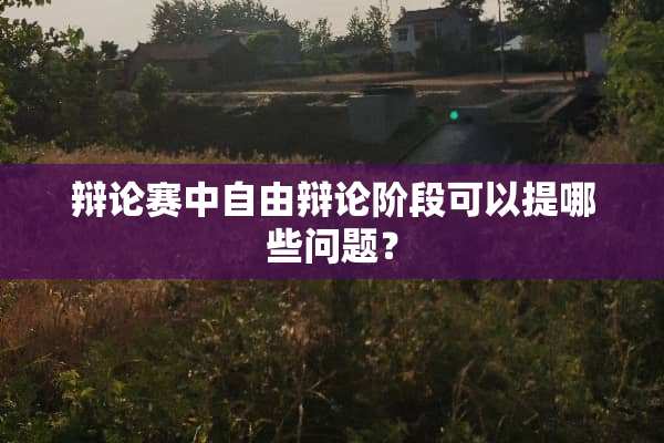 辩论赛中自由辩论阶段可以提哪些问题？