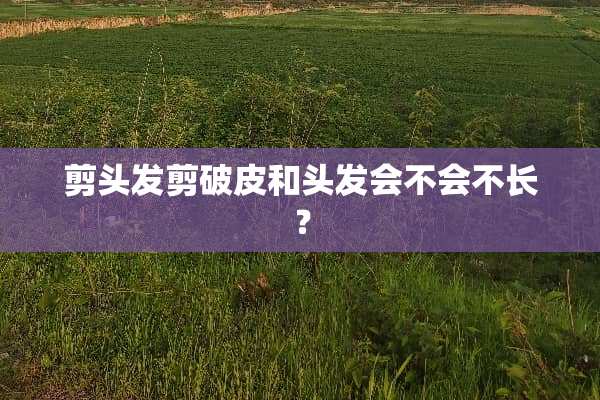 剪头发剪破皮和头发会不会不长？