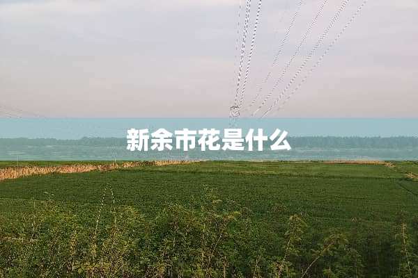 新余市花是什么