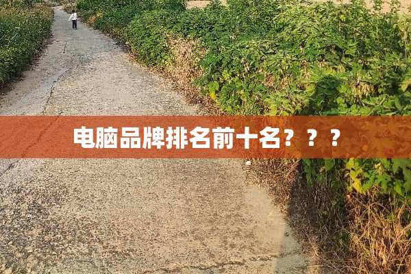 电脑品牌排名前十名？？？