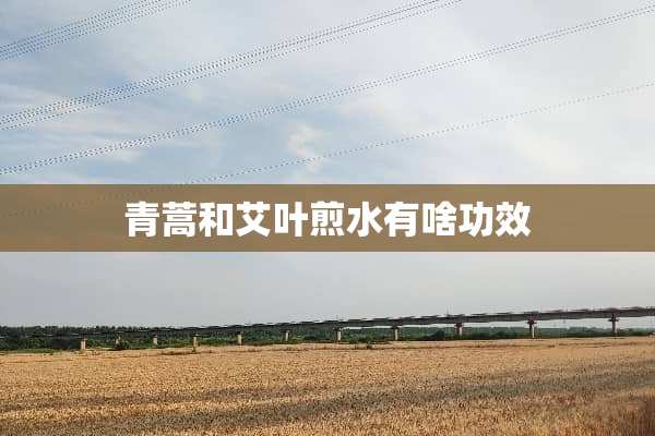 青蒿和艾叶煎水有啥功效