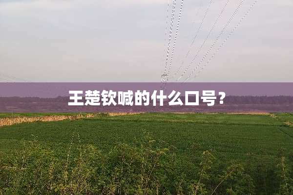 王楚钦喊的什么口号？