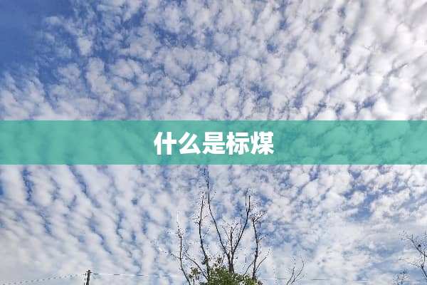 什么是标煤