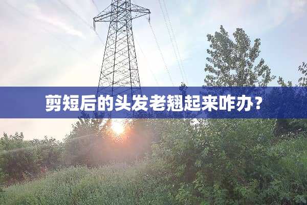 剪短后的头发老翘起来咋办？
