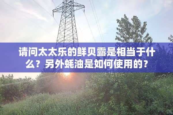 请问太太乐的鲜贝露是相当于什么？另外蚝油是如何使用的？