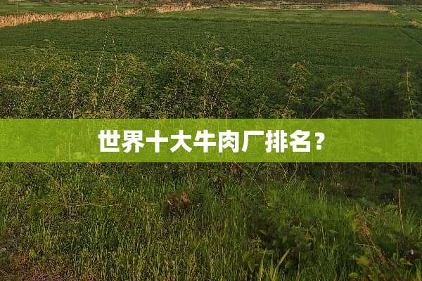 世界十大牛肉厂排名？