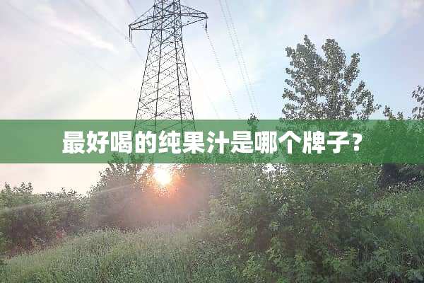 最好喝的纯果汁是哪个牌子？