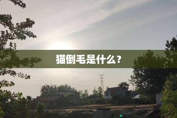 猫倒毛是什么？