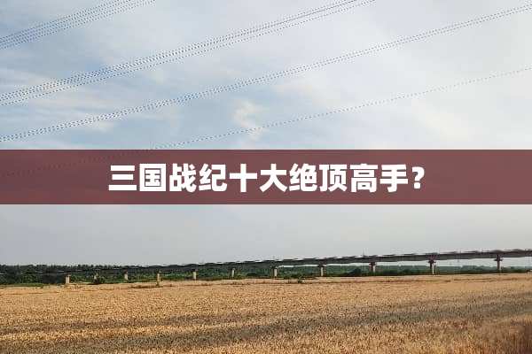 三国战纪十大绝顶高手？