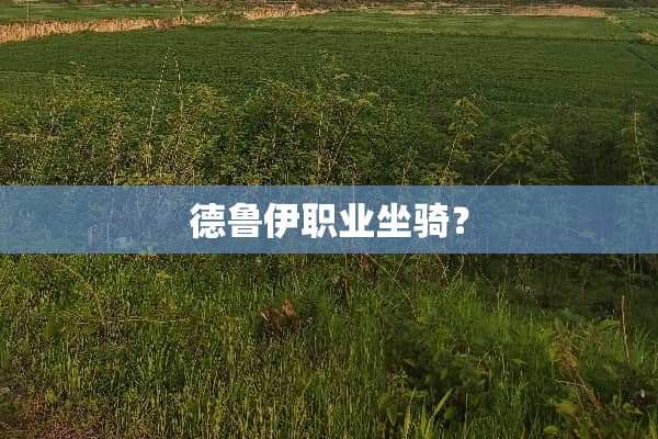 德鲁伊职业坐骑？