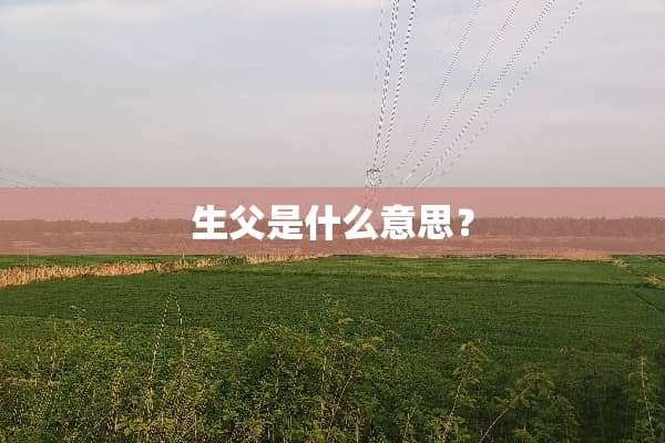 生父是什么意思？