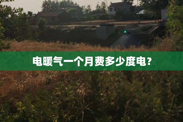 电暖气一个月费多少度电？