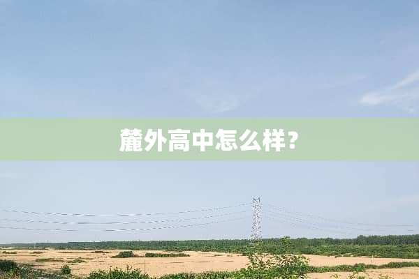 麓外高中怎么样？