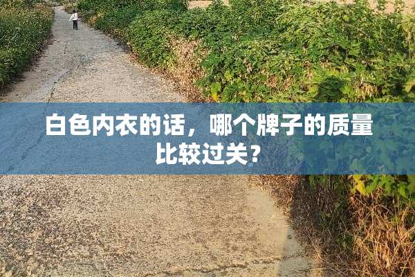 白色**的话，哪个牌子的质量比较过关？
