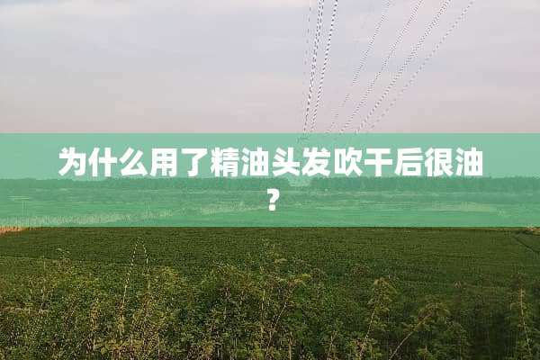 为什么用了精油头发吹干后很油？