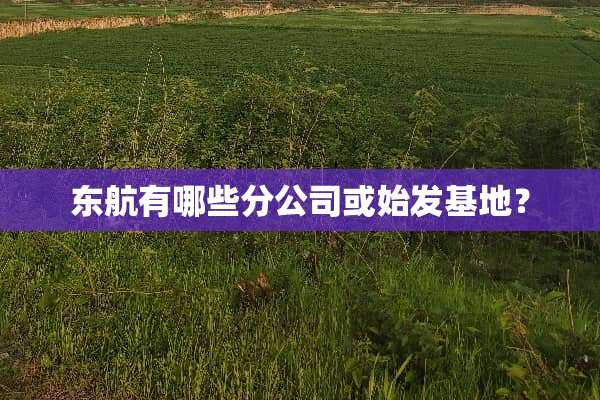 东航有哪些分公司或始发基地？