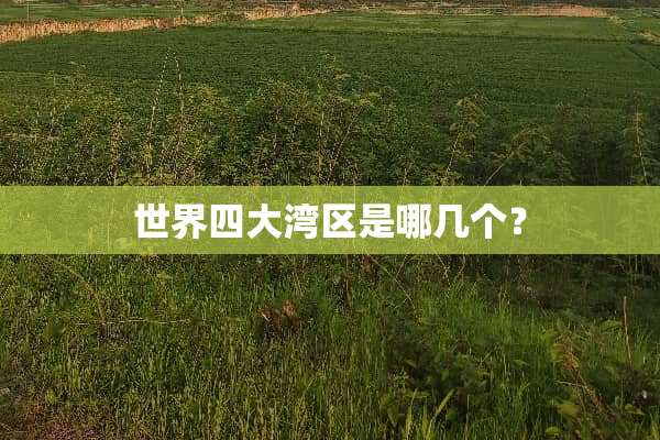 世界四大湾区是哪几个？
