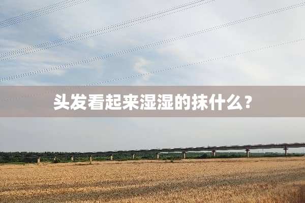 头发看起来湿湿的抹什么？