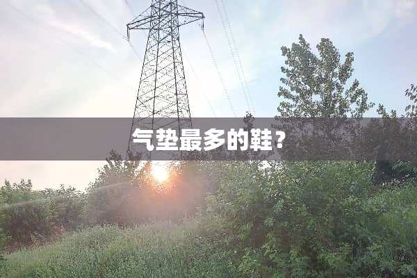 气垫最多的鞋？