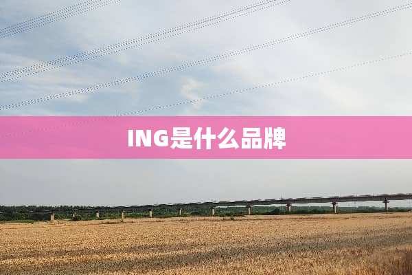 ING是什么品牌