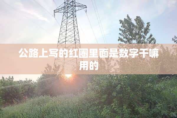 公路上写的红圈里面是数字干嘛用的