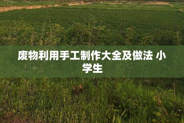 废物利用手工制作大全及做法 小学生