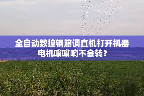 全自动数控钢筋调直机打开机器电机嗡嗡响不会转？