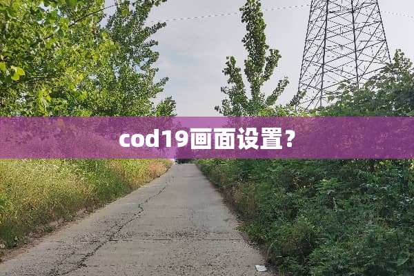 cod19画面设置？