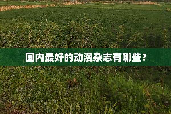 国内最好的动漫杂志有哪些？
