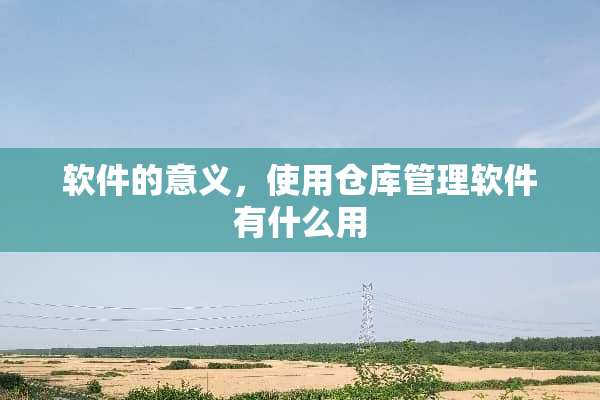软件的意义，使用仓库管理软件有什么用