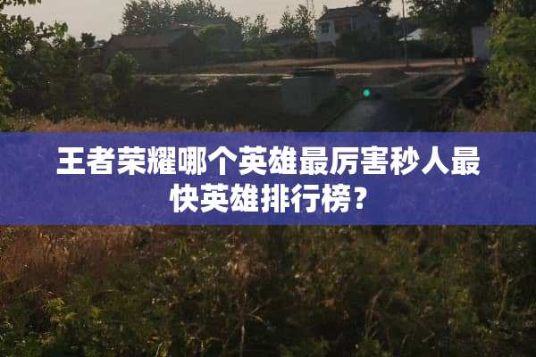 王者荣耀哪个英雄最厉害秒人最快英雄排行榜？
