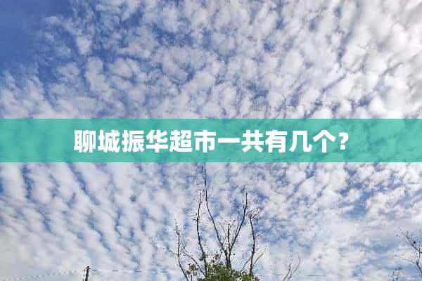 聊城振华超市一共有几个？