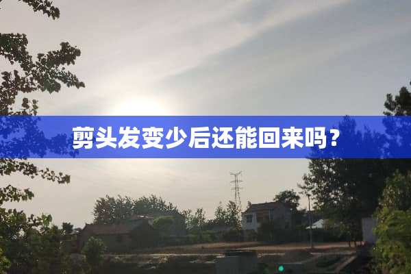 剪头发变少后还能回来吗？