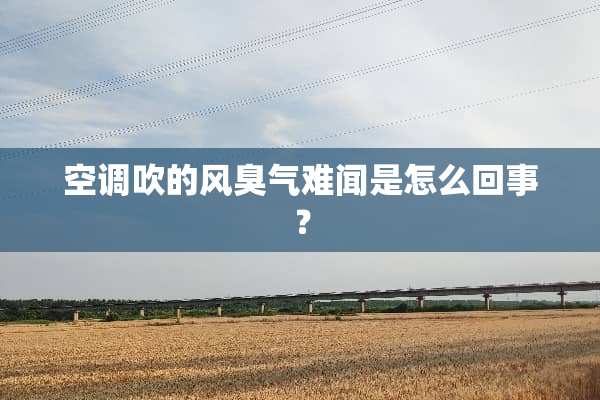 空调吹的风臭气难闻是怎么回事？